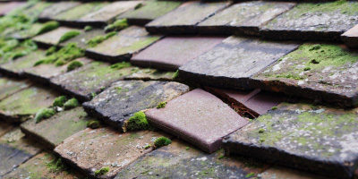 Marston roof repair costs